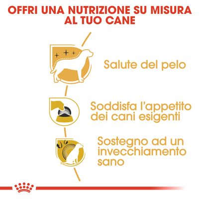 Royal Canin Yorkshire Terrier Adult 7,5kg - Crocchette per Cani Royal Canin Yorkshire Terrier Adult 7,5kg - Crocchette per Cani